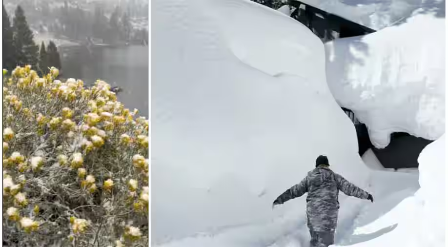 Watch: California hit by early August snow for the first time in 20 year