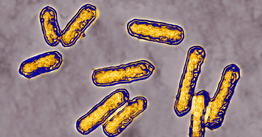 Listeria outbreak in the US: Symptoms, prevention and all you need to know