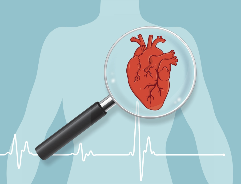 Simple blood test could predict heart disease risk 30 years in advance, study reveals