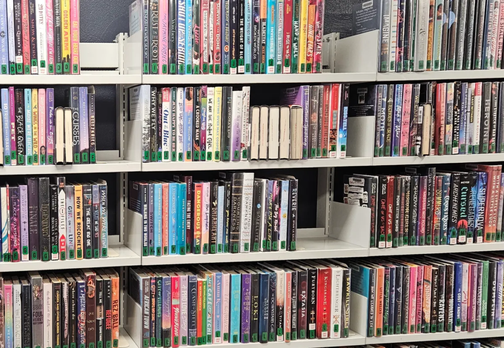 Florida county reinstates dozens of books in school libraries after ‘book ban’ lawsuit