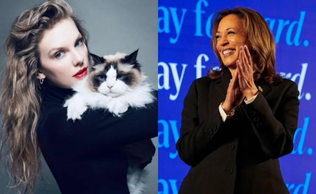 Woman sells daughter's Taylor Swift tickets after singer endorses Kamala Harris