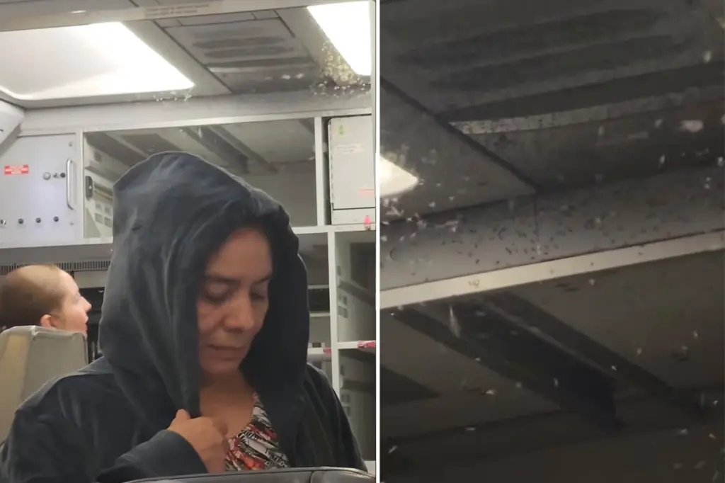 Watch: Swarm of mosquitoes buzzes around the cabin of Volaris flight before takeoff