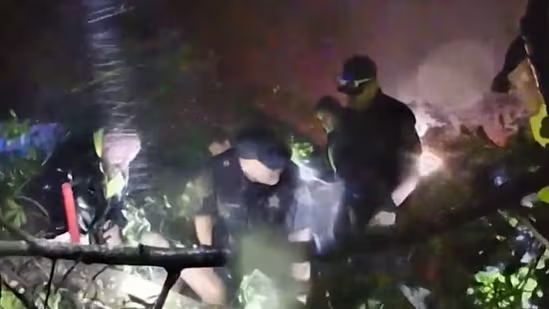 Watch: Louisiana woman trapped under fallen tree during Hurricane Francine rescued in harrowing video