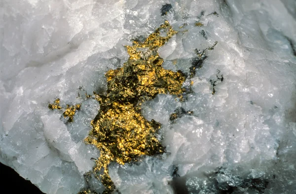 Geologists say quartz and minor earthquakes can create giant gold nuggets