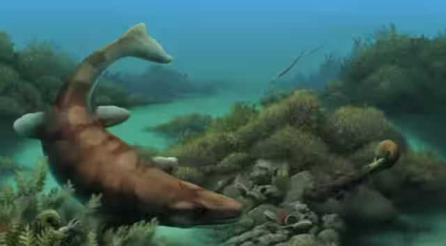 Sea monster lived 85 million years ago on Texas land that was once an ocean