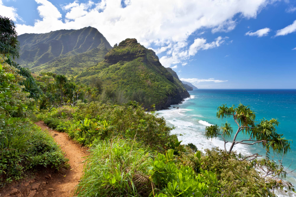 Norovirus outbreak forces closure of iconic Hawaii trail after 50 hikers fall sick