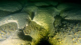 Mysterious giant craters discovered in Lake Michigan: Scientists unravel the puzzle