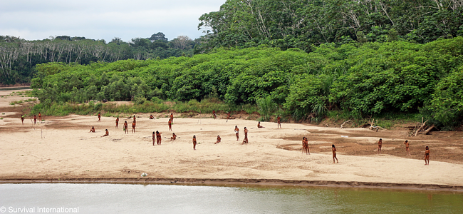 World’s largest uncontacted tribe in Amazon kills two loggers in bow-and-arrow attack