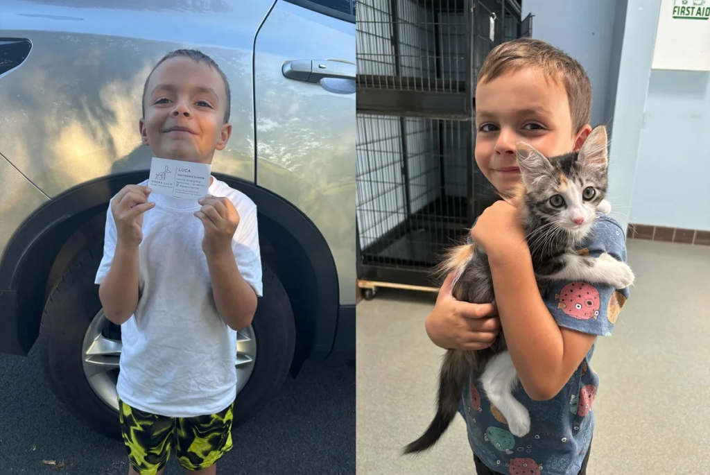 Rhode Island boy starts poop-scooping business to fund kitten adoption