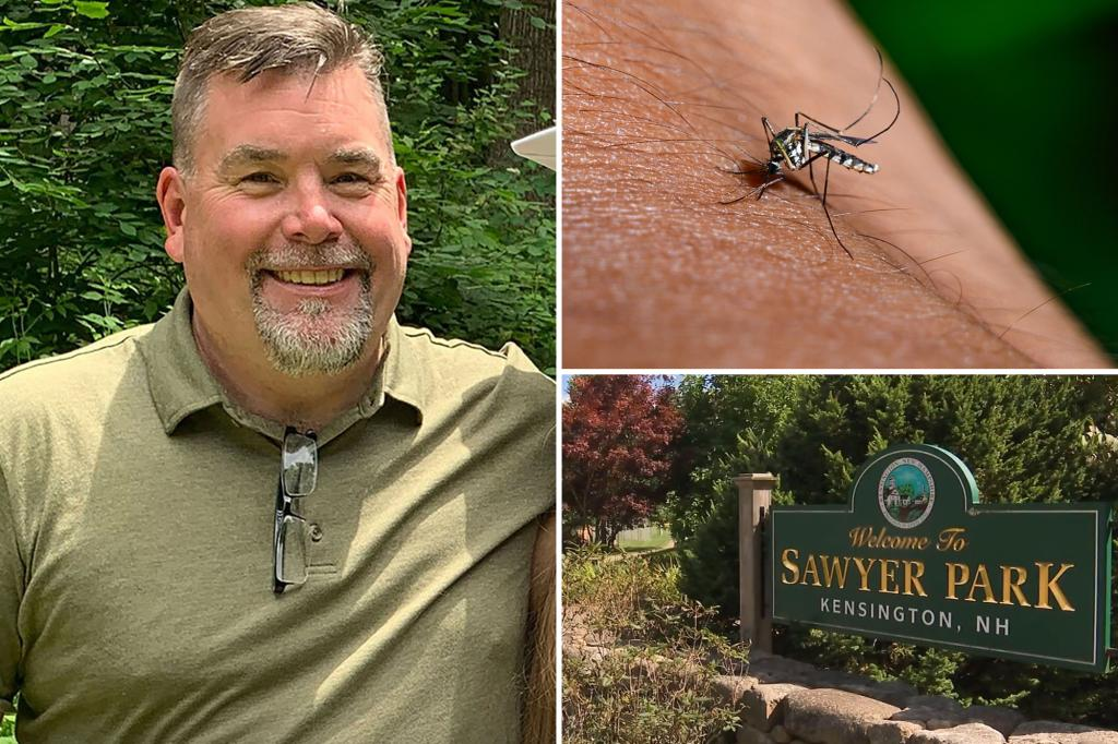 New Hampshire man fighting for his life after contracting three separate viruses from a single mosquito bite