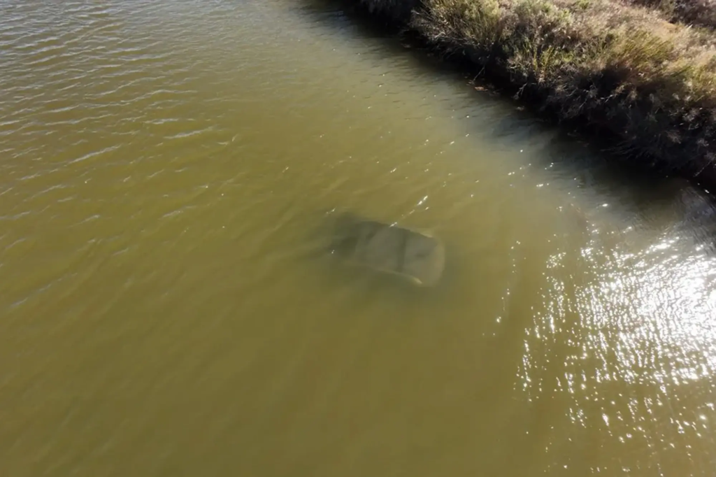 Heroic rescue: Passerby saves woman from sinking car in Texas canal