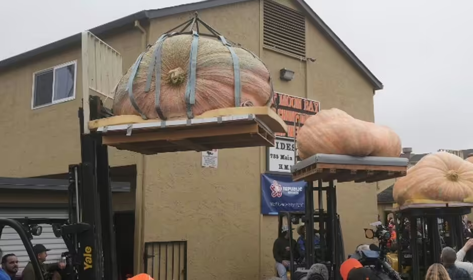 Massive 2,471-pound pumpkin wins world championship in California