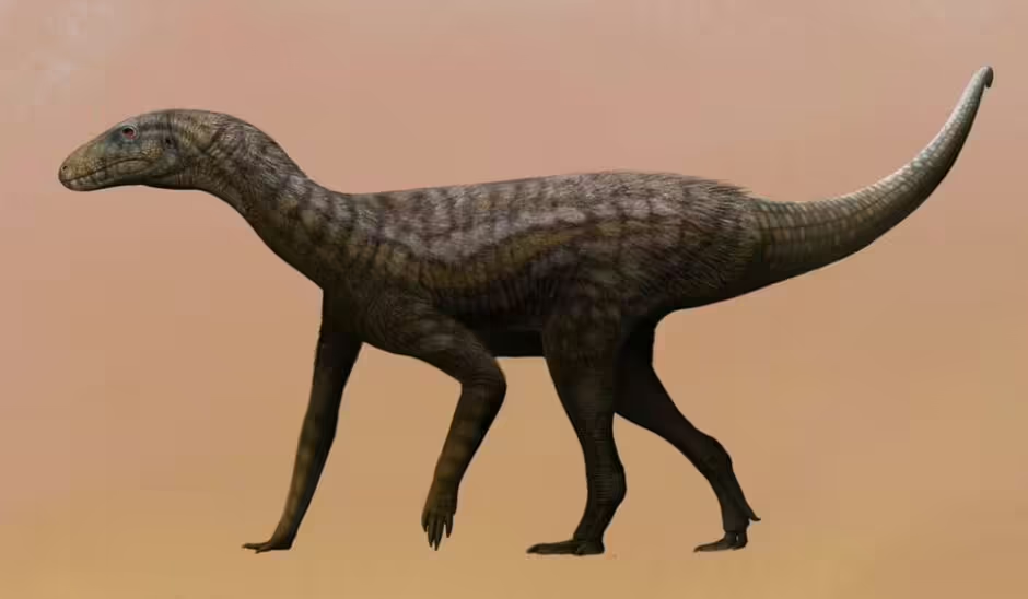 Major breakthrough: Scientists discover one of the oldest dinosaur fossils