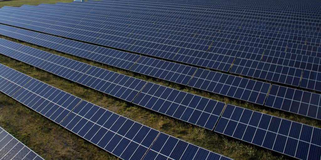 Texas unveils one of the largest solar projects in the U.S., powered by Google