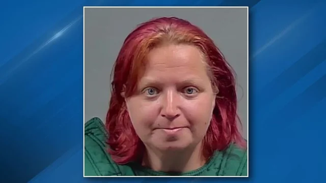 Florida woman accused of using Roblox to instruct child to kill infant in shocking case