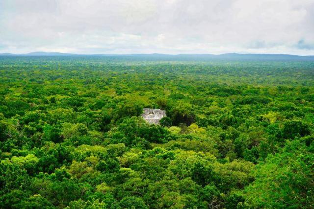 Researcher finds lost Mayan city in Mexico jungle by accident