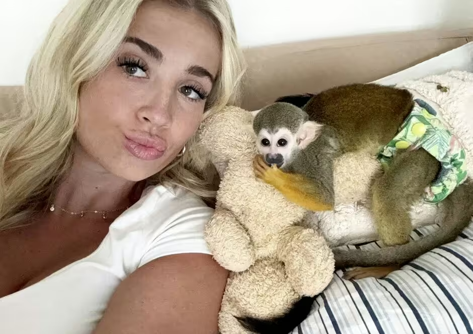 Michigan woman defends pet monkeys amidst online criticism