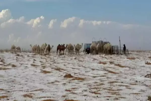 Watch: Saudi Arabian desert sees snowfall for the first time in history