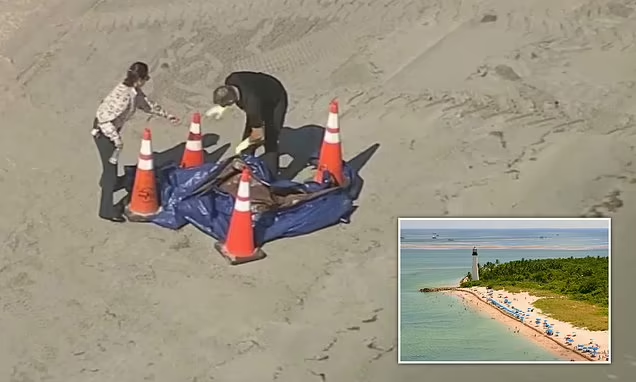 Human head found on Florida beach sparks major police investigation