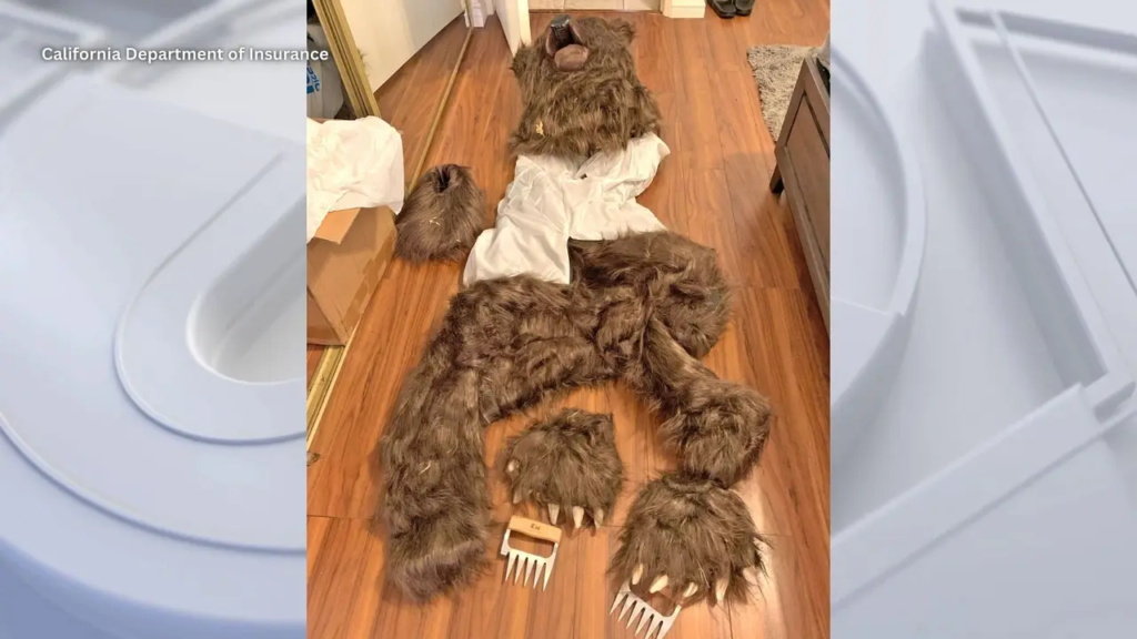 Operation bear claw: LA residents arrested for using bear costume to stage car attacks in insurance scam