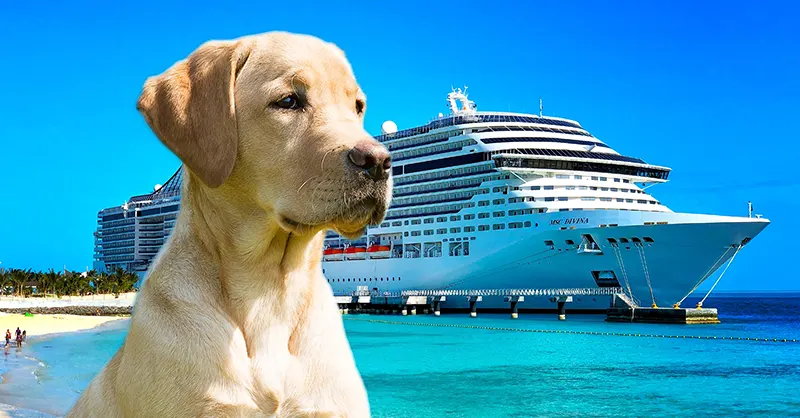 First ever dog-friendly cruise to set sail from Tampa in 2025