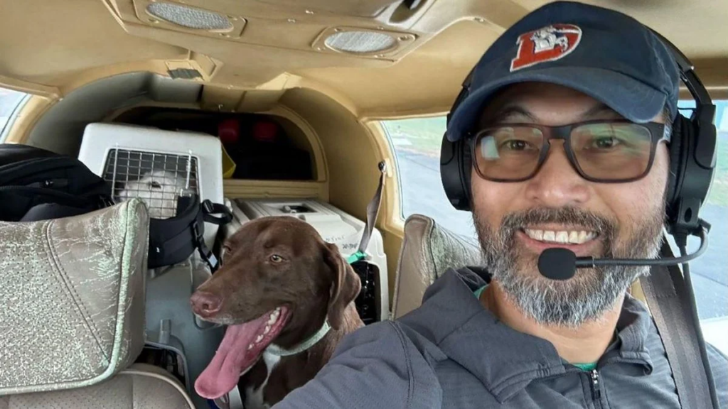 New York: Pilot famed for rescuing animals killed in crash while transporting rescue dogs