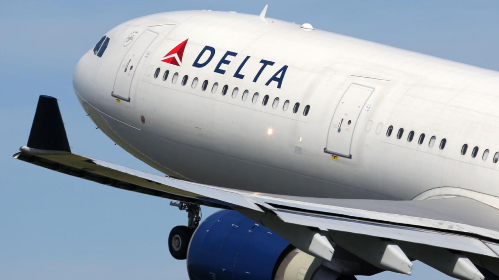 Delta Flight to from New York to Paris shocked by hidden stowaway passenger