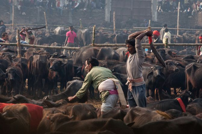 What makes Nepal's Gadhimai festival the 'bloodiest' event in the world?