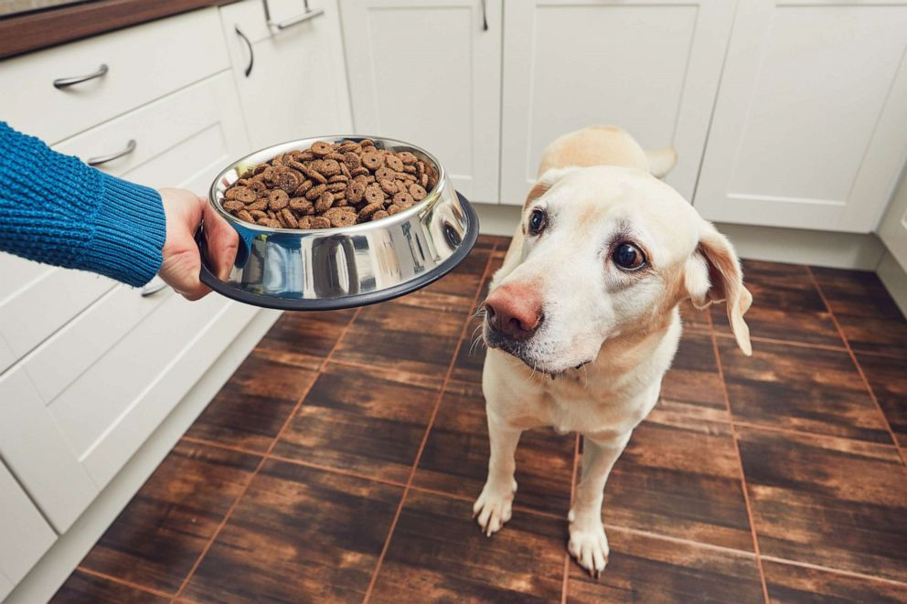 FDA issues urgent recall on popular dog treat in 19 states, citing risk of death to pets