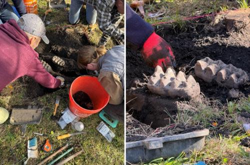 New York man discovers rare complete mastodon jaw buried in his backyard