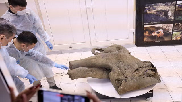 Baby mammoth preserved for 50,000 years unveiled in Russia's Siberia