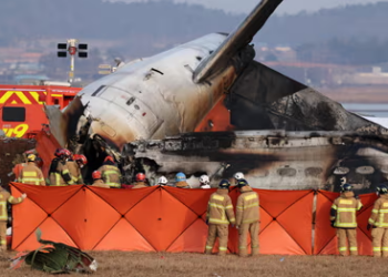 236 deaths, 6 plane crashes: December 2024, a deadly month for aviation industry