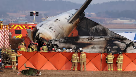 236 deaths, 6 plane crashes: December 2024, a deadly month for aviation industry