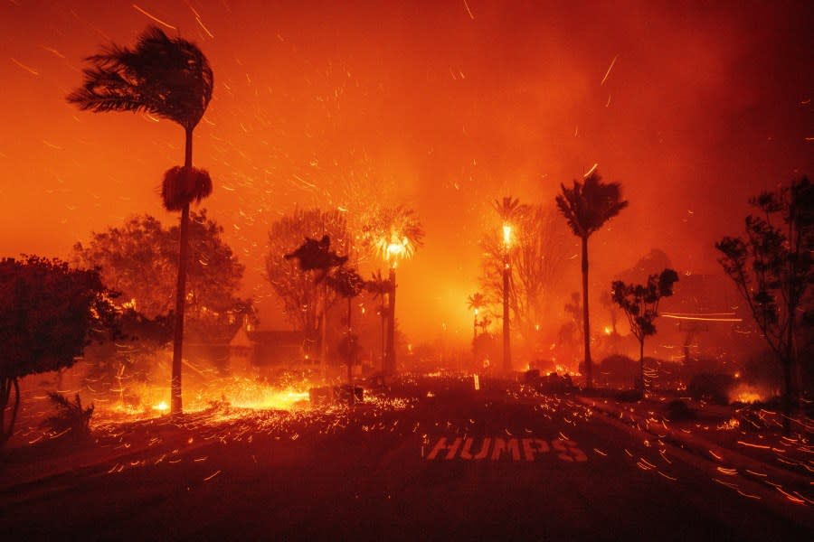 How to help victims of devastating LA wildfires?