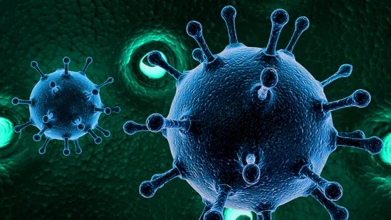 New 'COVID-like' virus emerges in China: What is HMPV, its symptoms, and who is at risk?