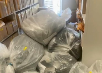 ‘Drug-addicted rats’ destroying evidence in Houston police lockers