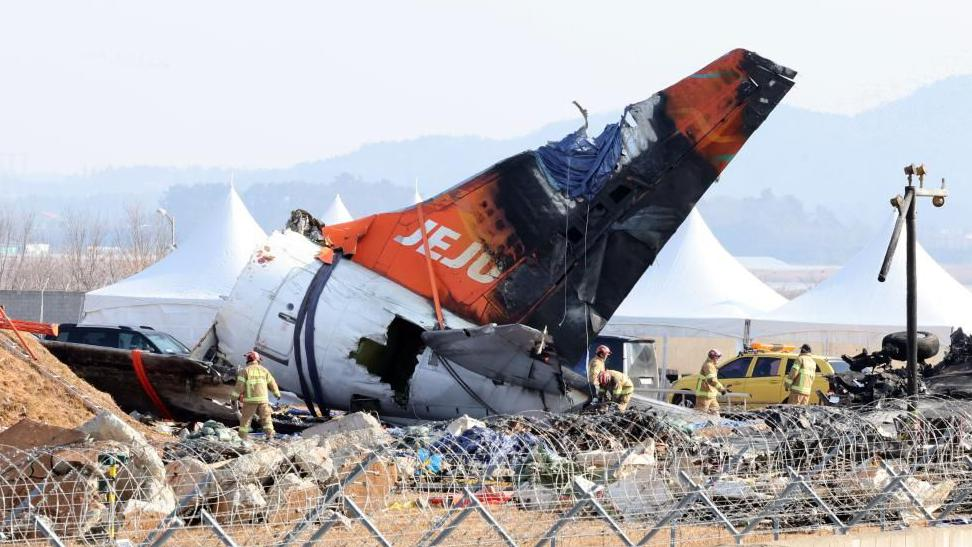 Jeju Air crash: Preliminary report finds bird blood and feathers in engines