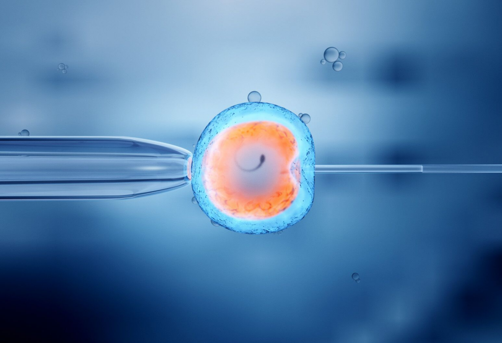 Breakthrough in fertility science: Lab-grown human eggs and sperm may soon become reality