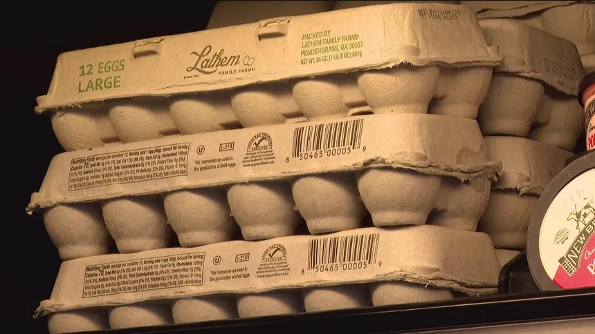 Egg shortages hit US stores amid bird flu crisis