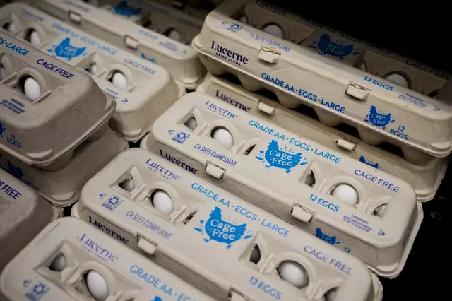 Pennsylvania: 100,000 eggs worth $40,000 stolen amid national egg shortage