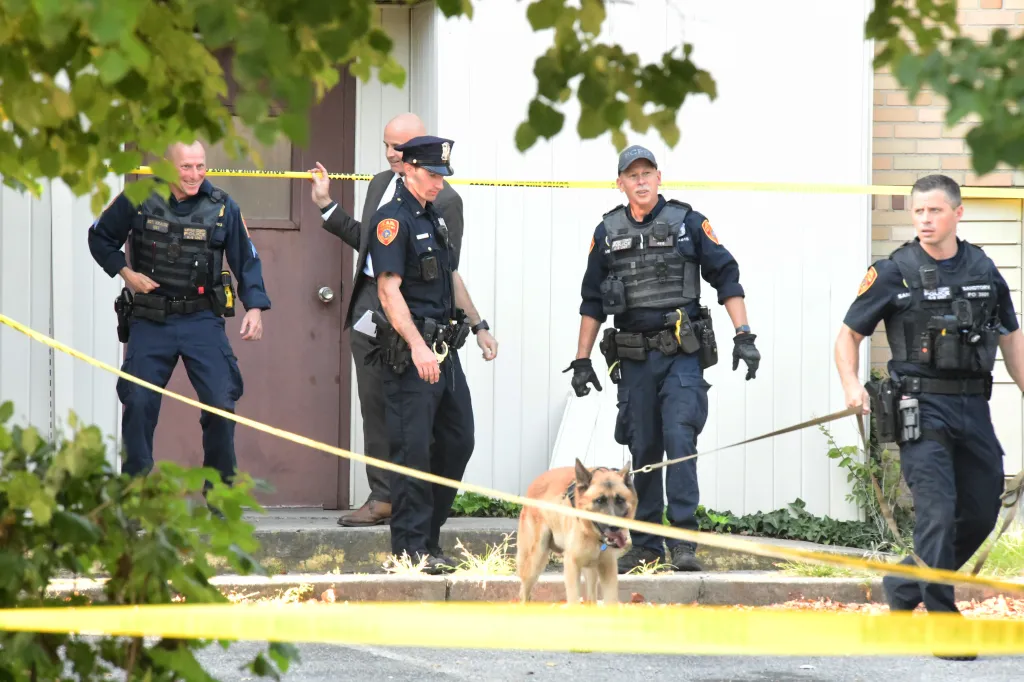 Police discover suitcase stuffed with human remains at Governor's Island in NYC