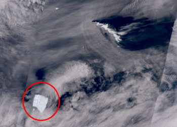 World’s biggest iceberg runs aground after a near-40-year journey from Antarctica