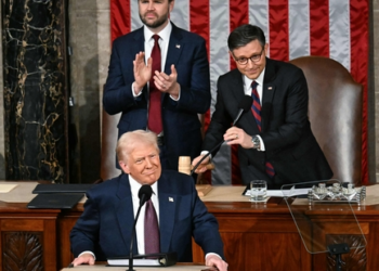 Not without my phone: Why Elon Musk sat on the steps outside house chamber during Trump speech