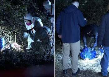 German police dedicate 5 hours to murder probe, only to find the victim was a sex doll