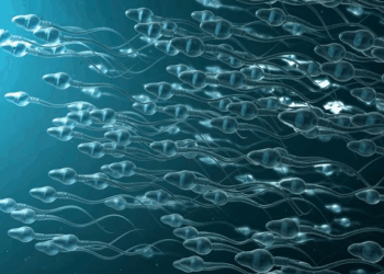 Sperm racing